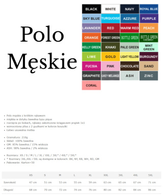 Koszulka Polo MĘSKIE